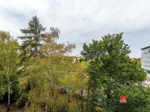 Prodej bytu 2+1, Praha - Strašnice, Oravská, 49 m2