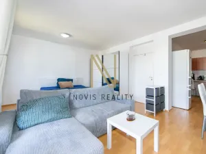 Pronájem bytu 1+kk, Klatovy - Klatovy IV, Plánická, 41 m2