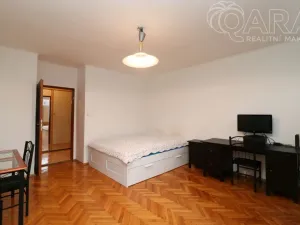 Pronájem bytu 1+1, Praha - Kobylisy, Davídkova, 45 m2