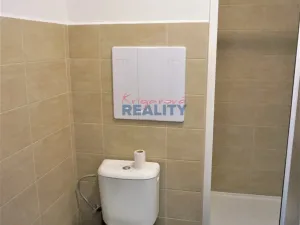 Pronájem bytu 1+kk, České Budějovice - České Budějovice 3, Pekárenská, 24 m2