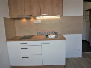 Pronájem bytu 1+kk, České Budějovice - České Budějovice 3, Pekárenská, 24 m2