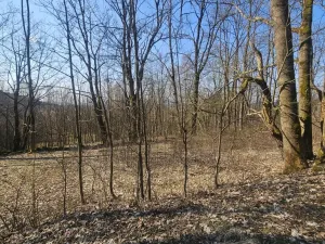 Prodej pozemku pro bydlení, 4936 m2