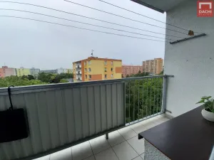 Pronájem bytu 1+1, Olomouc - Povel, Nešporova, 31 m2
