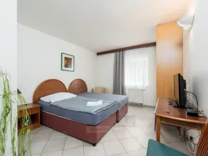 Prodej ubytování, Přední Výtoň, 900 m2