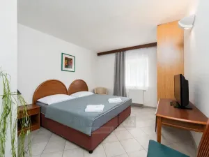 Prodej ubytování, Přední Výtoň, 900 m2