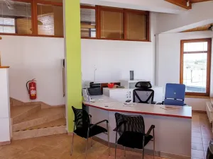 Prodej obchodního prostoru, Sadová, 262 m2