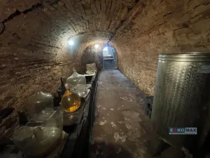 Prodej vinného sklepa, Zaječí, Hlavní, 95 m2