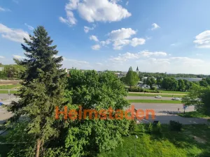 Pronájem bytu 1+1, Karviná - Nové Město, Nedbalova, 39 m2