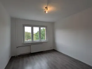 Pronájem bytu 2+1, Most, Hutnická, 70 m2