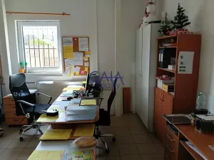 Prodej obchodního prostoru, Velim, Riegrova, 218 m2