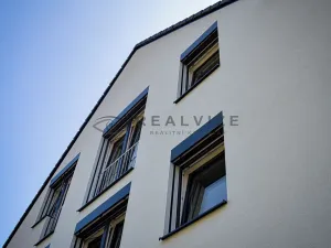 Prodej vícegeneračního domu, České Budějovice, J. Dobrovského, 830 m2