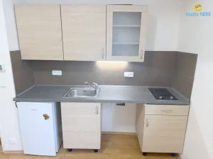 Pronájem bytu 1+kk, Praha - Nusle, U družstva Ideál, 26 m2