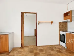 Prodej bytu 1+1, Bechyně, Písecká, 35 m2