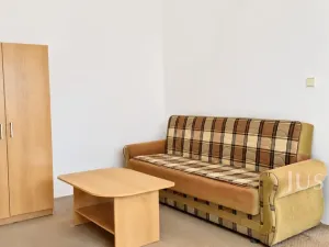 Prodej bytu 1+1, Bechyně, Písecká, 35 m2