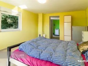 Prodej rodinného domu, Starý Plzenec, Podhradní, 195 m2