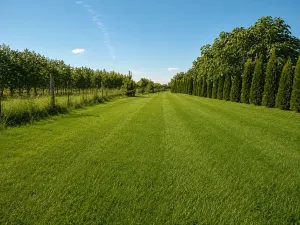Prodej komerčního pozemku, Pečky, 35798 m2