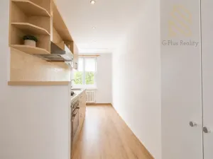 Prodej bytu 2+1, Ústí nad Labem - Severní Terasa, Pincova, 64 m2