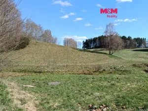 Prodej louky, Janův Důl, 2749 m2