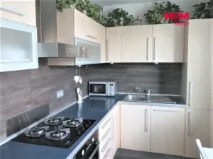 Pronájem bytu 2+1, Olomouc - Nové Sady, Velkomoravská, 56 m2
