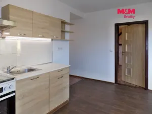 Pronájem bytu 2+1, Ústí nad Labem - Mojžíř, Picassova, 53 m2