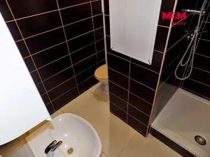 Pronájem bytu 2+1, Ústí nad Labem - Mojžíř, Picassova, 53 m2