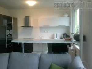 Pronájem bytu 1+kk, Praha - Záběhlice, Topolová, 40 m2