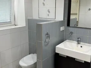 Pronájem bytu 2+1, Plzeň, Zikmunda Wintra, 59 m2