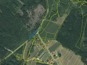 Prodej lesa, Lukavec, 1012 m2