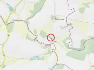 Prodej lesa, Čáslavsko, 2742 m2