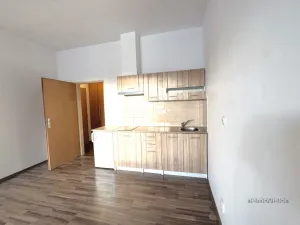 Pronájem bytu 1+kk, Brno - Maloměřice, Markéty Kuncové, 37 m2