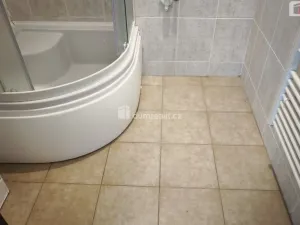 Prodej bytu 3+1, Spálené Poříčí, Lipnická, 64 m2
