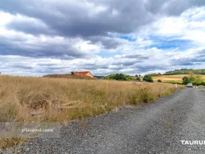Prodej pozemku pro bydlení, Chudenice, 1320 m2