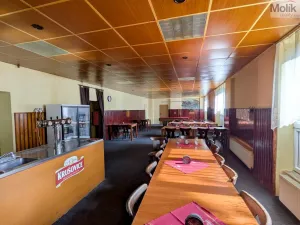 Prodej komerční nemovitosti, Litvínov - Horní Litvínov, Alešova, 506 m2