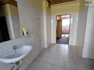 Prodej komerční nemovitosti, Litvínov - Horní Litvínov, Alešova, 506 m2