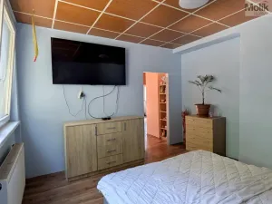 Prodej komerční nemovitosti, Litvínov - Horní Litvínov, Alešova, 506 m2