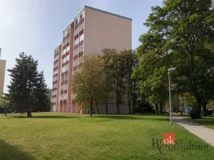 Pronájem bytu 2+1, Mladá Boleslav - Mladá Boleslav II, Palackého, 63 m2
