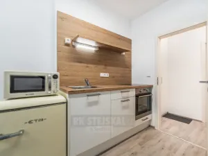 Prodej bytu 1+kk, České Budějovice - České Budějovice 3, Skuherského, 23 m2