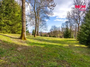 Prodej pozemku pro bydlení, Velká Bukovina, 4466 m2