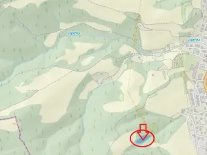 Prodej lesa, Valašská Polanka, 2904 m2