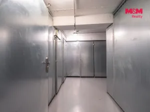 Prodej obchodního prostoru, Praha - Žižkov, Biskupcova, 54 m2