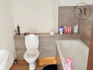 Pronájem bytu 1+kk, Netolice, Mírové Náměstí, 21 m2