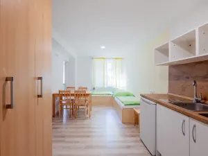 Prodej ubytování, Bartošovice v Orlických horách, 500 m2