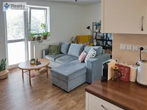 Pronájem bytu 2+kk, Plzeň - Severní Předměstí, K Zahradnictví, 53 m2