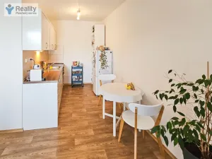 Pronájem bytu 2+kk, Plzeň - Severní Předměstí, K Zahradnictví, 53 m2