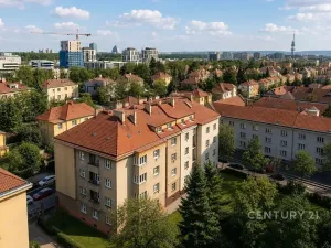 Pronájem bytu 1+kk, Praha - Žižkov, Jeseniova, 28 m2