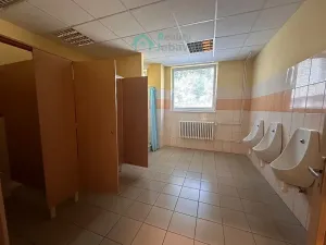 Pronájem komerční nemovitosti, Chrudim, Průmyslová, 89 m2