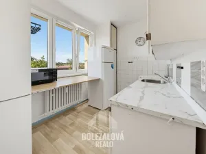 Prodej bytu 1+1, Jihlava, U Hřbitova, 36 m2