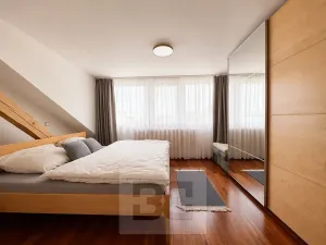 Pronájem rodinného domu, Brno, Březinova, 362 m2