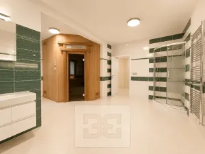 Pronájem rodinného domu, Brno, Březinova, 362 m2