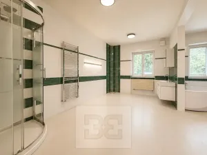 Pronájem rodinného domu, Brno, Březinova, 362 m2